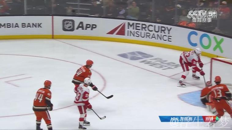 纽约游骑兵对决阿纳海姆小鸭:常规赛较量 纽约游骑兵对决阿纳海姆小鸭:常规赛较量